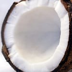 super cropped coconut-1125 (2)