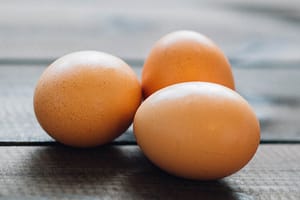 eat organic eggs to avoid obesogens