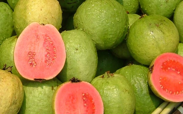 Organic Guava Seed Oil